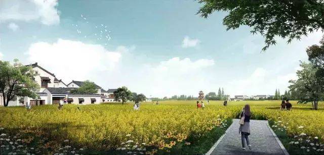 城鎮(zhèn)之源丨景區(qū)精細化管理如何實現(xiàn)?