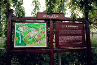 江浙滬周邊又有親子遛娃好去處 米果果小鎮