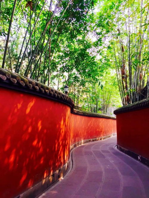 無(wú)標(biāo)題