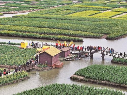 中國(guó)文明網(wǎng)聯(lián)盟 泰州站