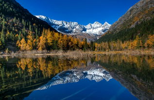 達(dá)古冰山景區(qū)深度開發(fā)洛格斯徒步游覽區(qū)