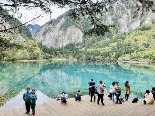 久違的仙境 九寨溝恢復(fù)全域開(kāi)放與新路線(xiàn)發(fā)布