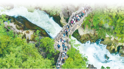 以園區為支點，精準服務與融入新發展格局